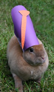 Bunny in mitre?