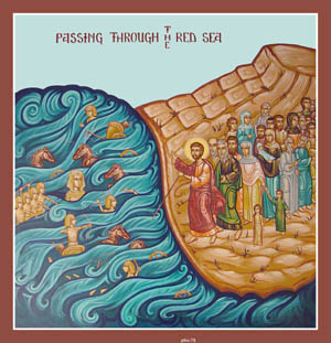 Red Sea icon
