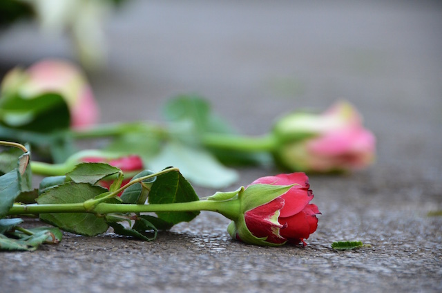 flowers on tomb