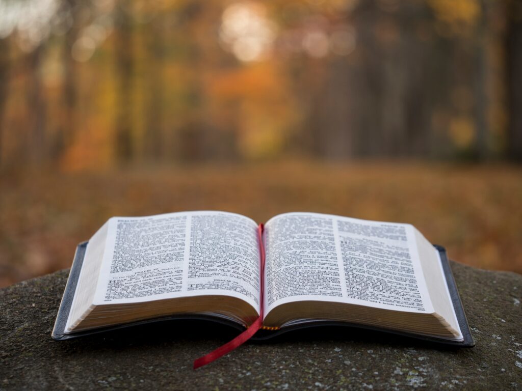 Eating the Word of God – Seven whole days